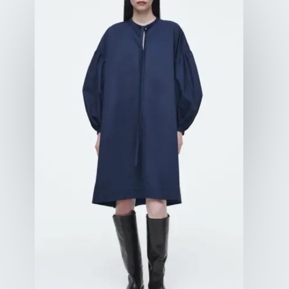 COS Dresses & Skirts - New COS Gathered the Detail Dress